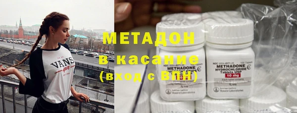 гашик Алексин