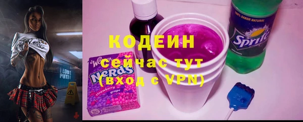гашик Алексин