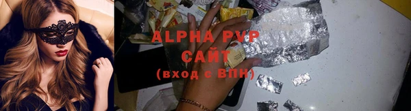 гашик Алексин