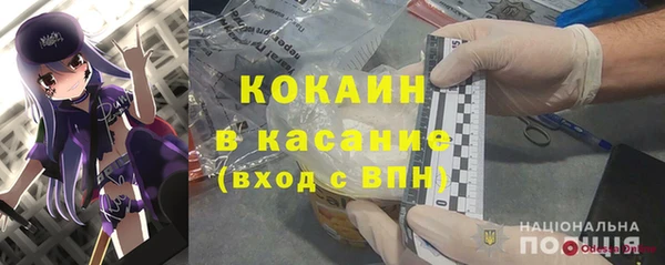 ECSTASY Алзамай