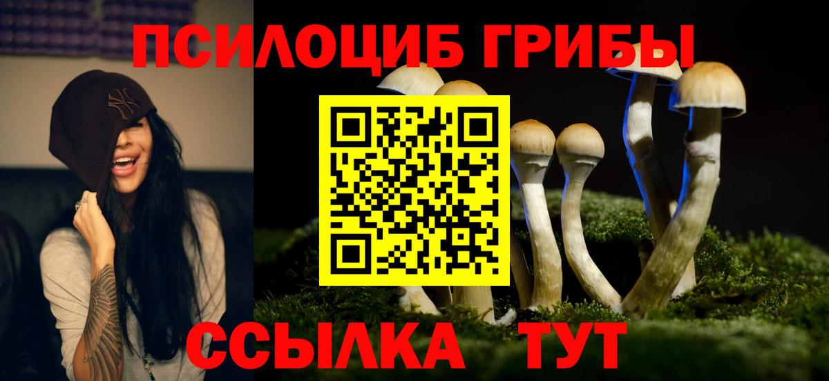 Симферополь  магазин  наркотиков  Вход с VPN  Псилоцибиновые грибы Cubensis  Псилоцибиновые грибы Psilocybe 